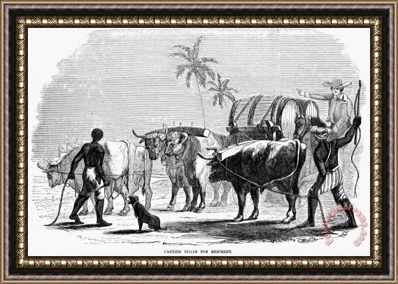 Others Slavery: West Indies Framed Painting