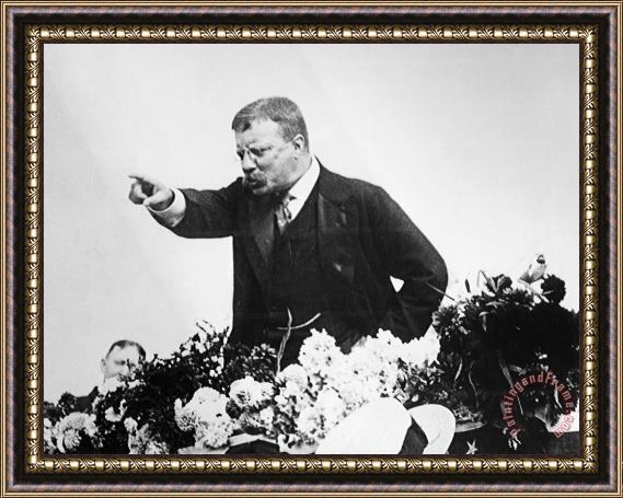 Others Theodore Roosevelt Framed Print