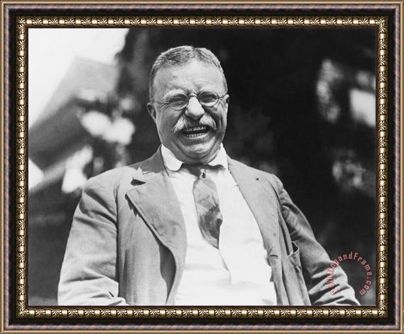 Others Theodore Roosevelt Framed Painting