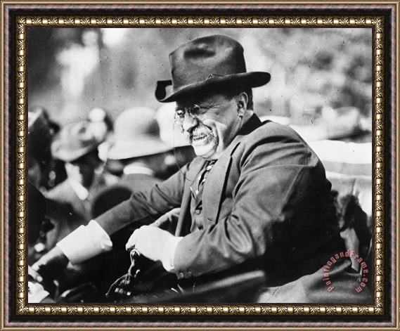Others Theodore Roosevelt Framed Print