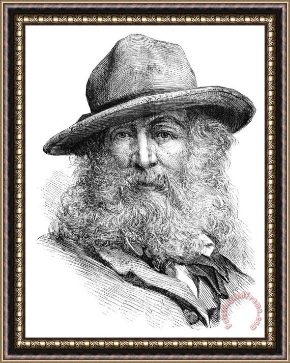 Others Walt Whitman (1819-1892) Framed Painting