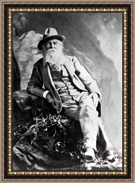 Others Walt Whitman (1819-1892) Framed Painting