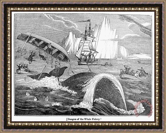 Others Whaling, 1833 Framed Print