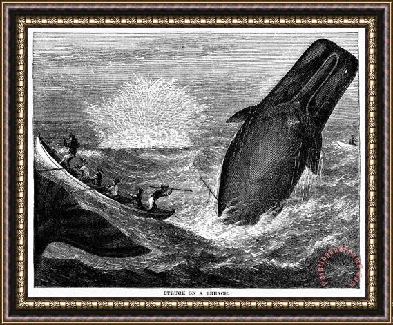 Others WHALING, 19th CENTURY Framed Painting