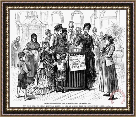 Others Yellow Fever, 1878 Framed Print
