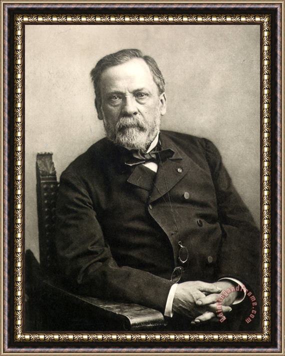 Pablo Picasso Gaspard Felix Tournachon Nadar Louis Pasteur 1822 1895 Framed Painting