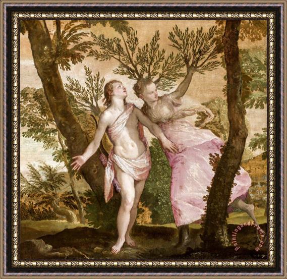 Paolo Caliari Veronese Apollo And Daphne Framed Painting