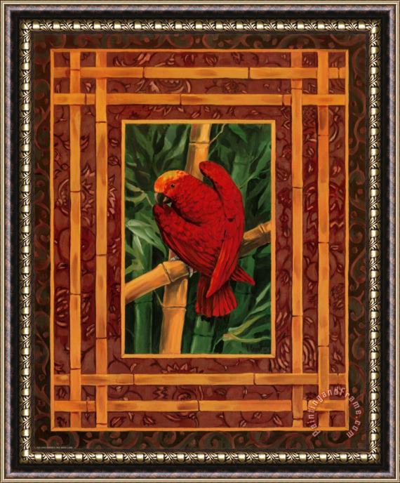 Paul Brent Crimson Parrot Framed Print