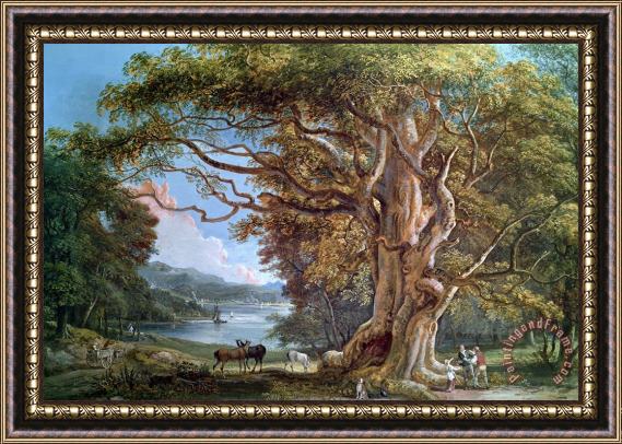 Paul Sandby An Ancient Beech Tree Framed Print