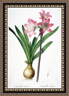 Framed Print Framed Print