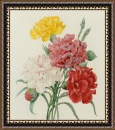 Framed Print Framed Print