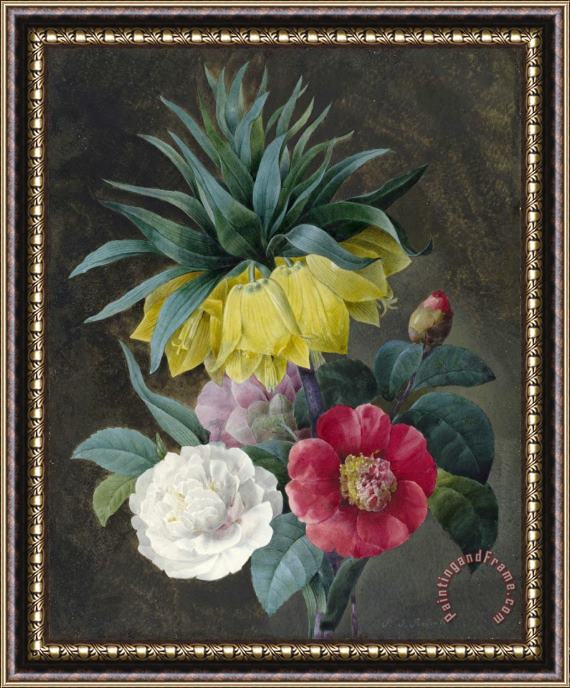 Pierre Joseph Redoute Four Peonies And a Crown Imperial Framed Print