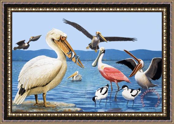 R B Davis Birds with strange beaks Framed Painting