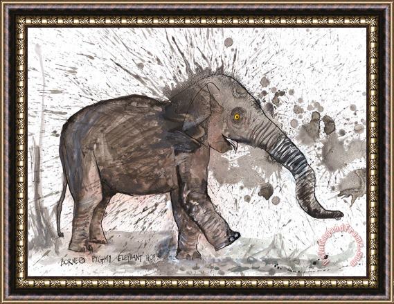 Ralph Steadman Borneo Pygmy Elephant, 2017 Framed Painting