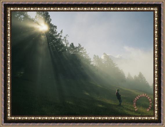 Raymond Gehman A Boy Walks Down a Hill in Banff National Park Framed Print