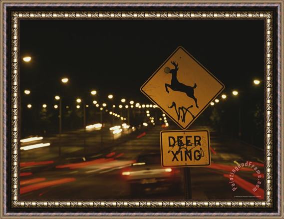 Raymond Gehman A Deer Crossing Sign in The Middle of Roosevelt Boulevard Framed Print