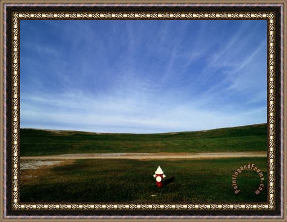 Raymond Gehman A Fire Hydrant in a Green Field Under a Wide Blue Sky Framed Painting