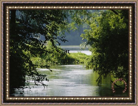 Raymond Gehman A Riparian Forest Borders The Susquehanna River Framed Painting