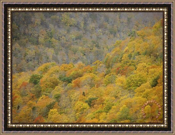 Raymond Gehman A Scenic View of The Autumn Foliage on North Aspy Mountain Framed Painting