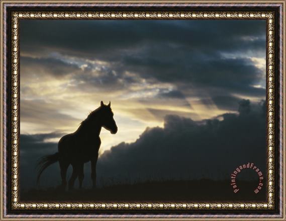 Raymond Gehman A Wild Horse Is Silhouetted by The Setting Sun Under Gathering Storm Clouds Framed Print