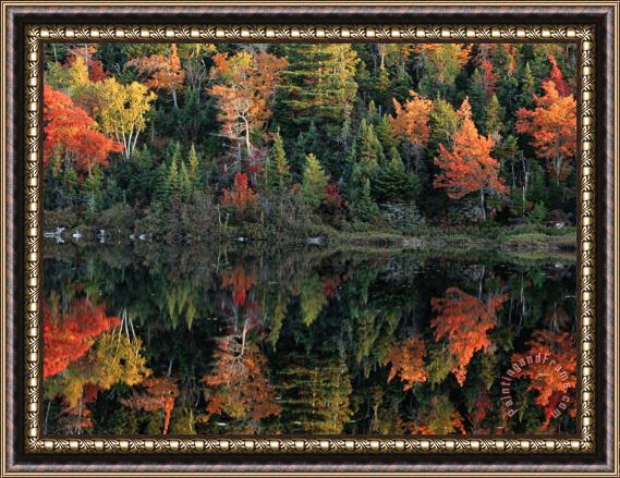 Raymond Gehman Autumn Foliage Reflected in a Canadian Lake Framed Print