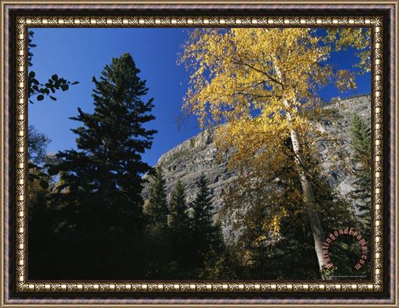Raymond Gehman Autumn Foliage Surrounds The Limestone Face of The Nahanni Mountain Range Framed Painting