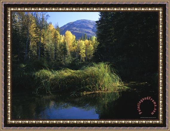 Raymond Gehman Autumnal View Near Cli Lake Framed Painting