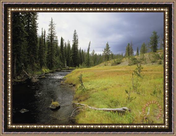 Raymond Gehman Bechler Meadows Yellowstone National Park Wyoming Framed Painting