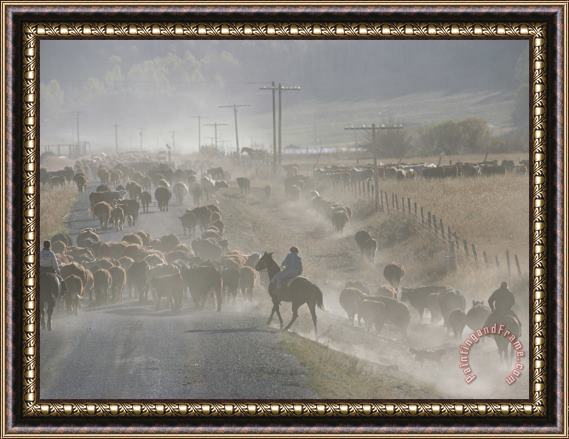 Raymond Gehman Cattle Round Up Caribou National Forest Idaho Framed Painting