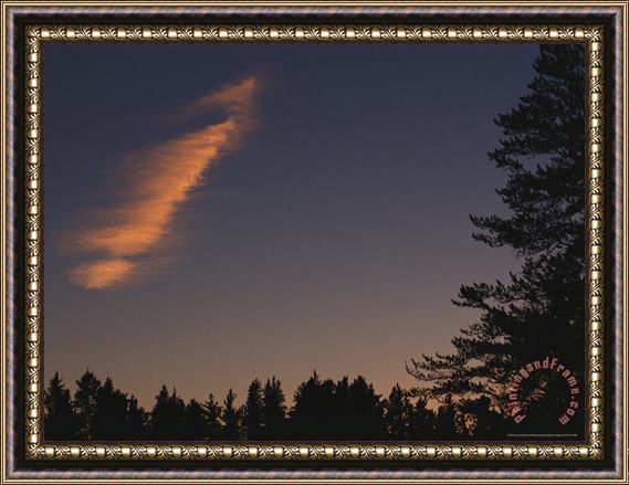 Raymond Gehman Cloud Lit by The Setting Sun Rises Above a Silhouetted Forest Framed Print