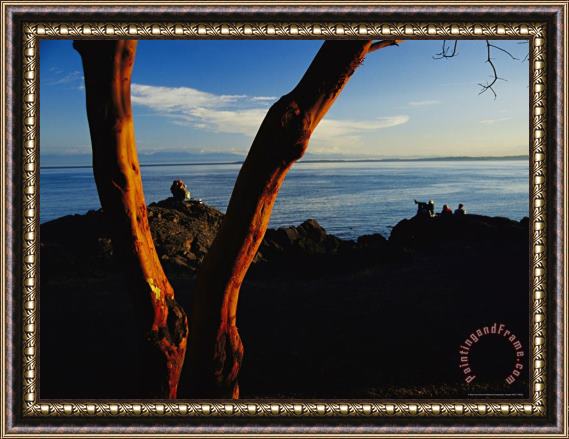 Raymond Gehman Couple Sits on a Shore Observing Killer Whales Swimming Offshore Framed Print
