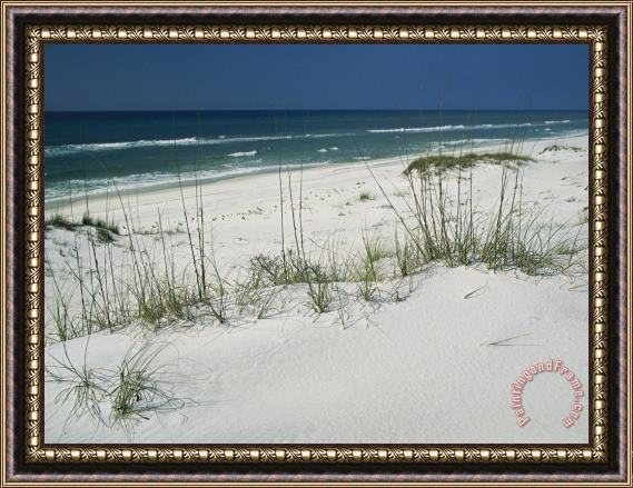 Raymond Gehman Dune Grasses Hold White Sand in Place Along a Stretch of Beach Framed Print