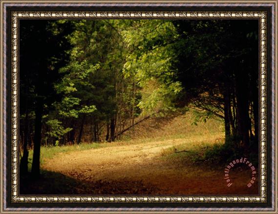 Raymond Gehman Eagle Point Trail Winding Through a Peaceful Forest Framed Painting