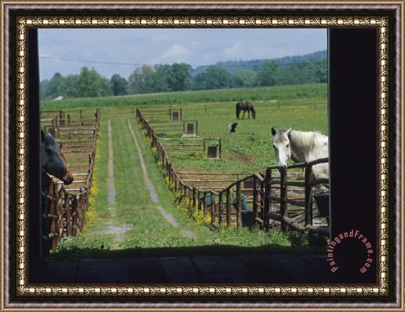 Raymond Gehman Farm Scene with Horses Grazing in Fenced Green Fields Near a Barn Framed Print