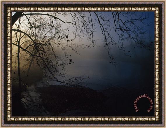 Raymond Gehman Fog And Silhouetted Trees at Sunrise on The Little Tennessee River Framed Painting