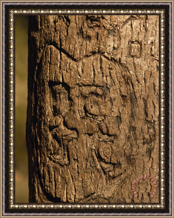 Raymond Gehman Heart And Initials Carved Into The Trunk of a Tree Framed Painting
