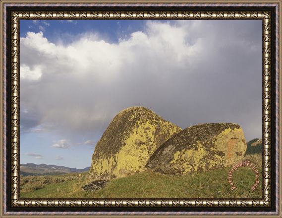 Raymond Gehman Lichen Covered Glacial Erratic Boulders Under a Cloudy Sky Framed Painting