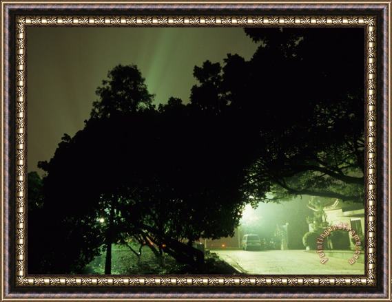 Raymond Gehman Light Shining in Rays Behind Silhouetted Trees at Night Framed Print