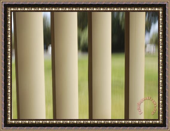 Raymond Gehman Limited View Through a Fence Framed Print
