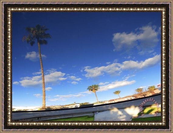 Raymond Gehman Palm Trees And Clear Blue Sky Refelcted in a Car S Shiny Finish Framed Painting