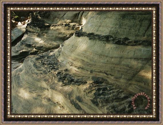 Raymond Gehman Quartzite Metamorphosed Sandstone at Base of Pilot Mountain Framed Painting