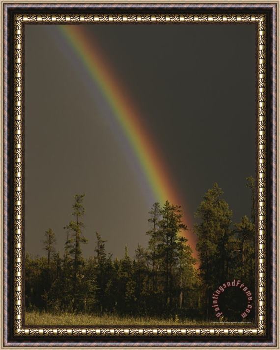 Raymond Gehman Rainbow Arches Above a Stone Mountain Forest Following a Rainstorm Framed Painting