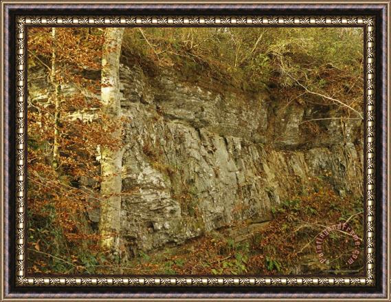 Raymond Gehman Raven Rock And Autumn Colored Beech Trees Along The Cape Fear River Framed Print