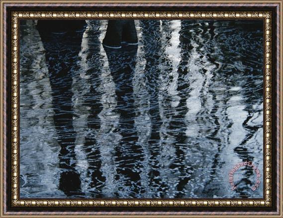Raymond Gehman Reflections of Trees on The Surface of Rippled Water Framed Painting