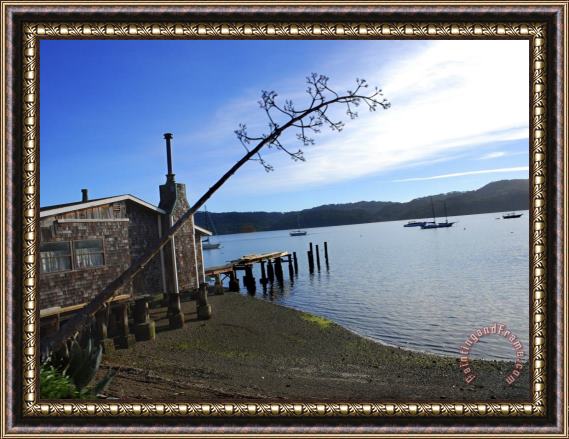 Raymond Gehman Road Shot of Tomales Bay From Route 1 North of San Francisco Ca Framed Print