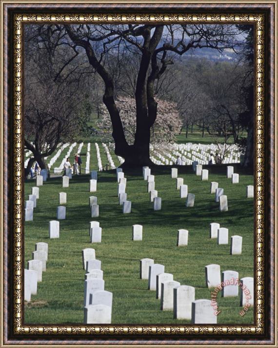 Raymond Gehman Rows of Tombstones Line The Fields of Arlington National Cemetery Framed Painting