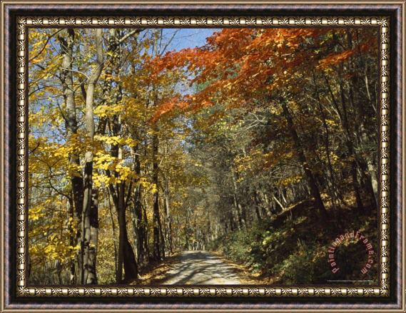 Raymond Gehman Roy Gap Road Trail Framed Print