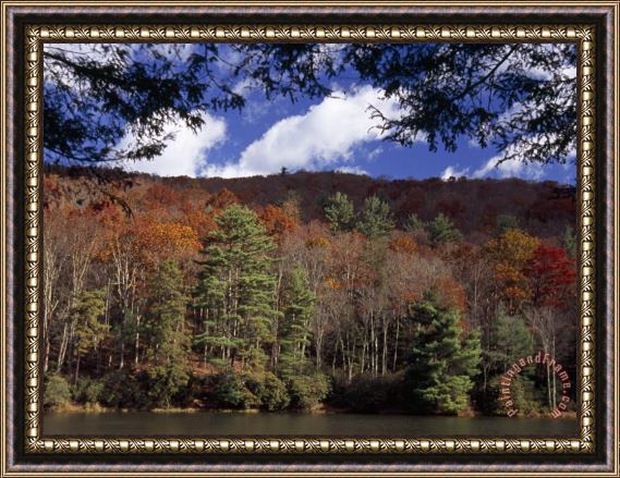 Raymond Gehman Scenic Autumn View of Watoga Lake And Surrounding Forest Framed Print