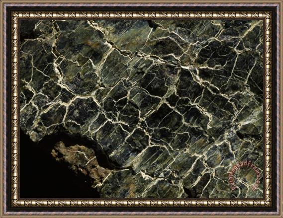 Raymond Gehman Serpentinite Marked by Veins of Green in Scale Patterns Tablelands Gros Morne Framed Painting