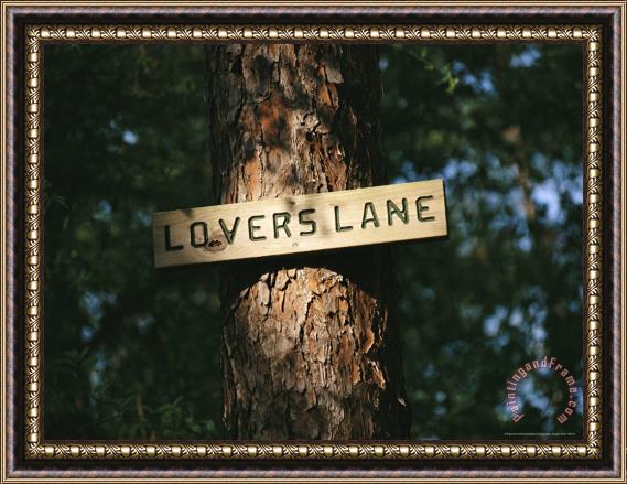 Raymond Gehman Sign on a Tree Marks Lovers Lane Framed Painting